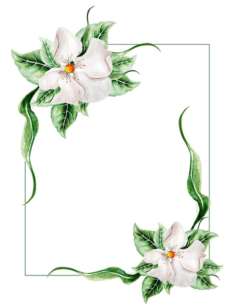 Witte bloemen aquarel frame