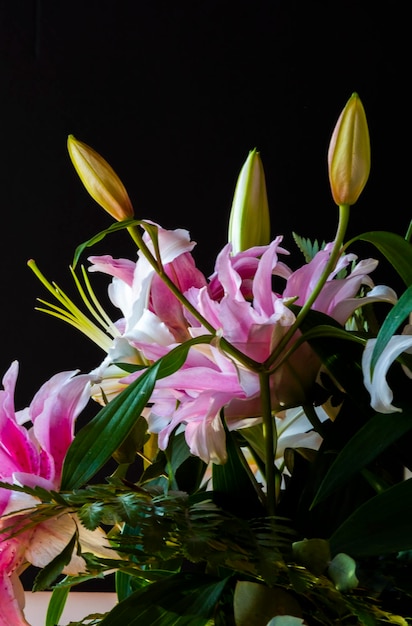 Witte bloemen geïsoleerd op een witte achtergrond