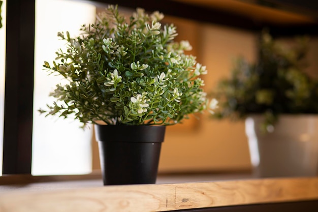 witte bloemen in een vaas