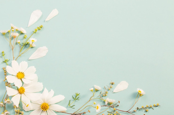 Witte bloemen op papier achtergrond