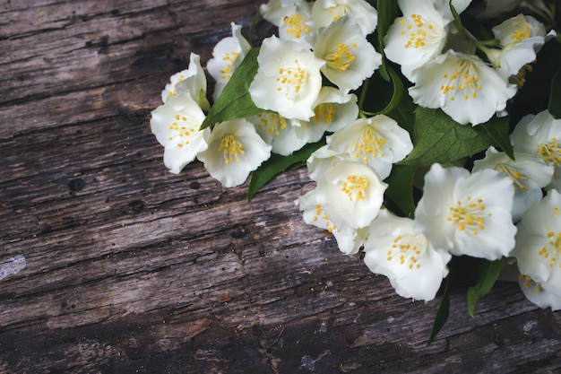 Witte bloemen van jasmijn op houten achtergrond Card Concept, pastelkleuren, close-up afbeelding kopie ruimte