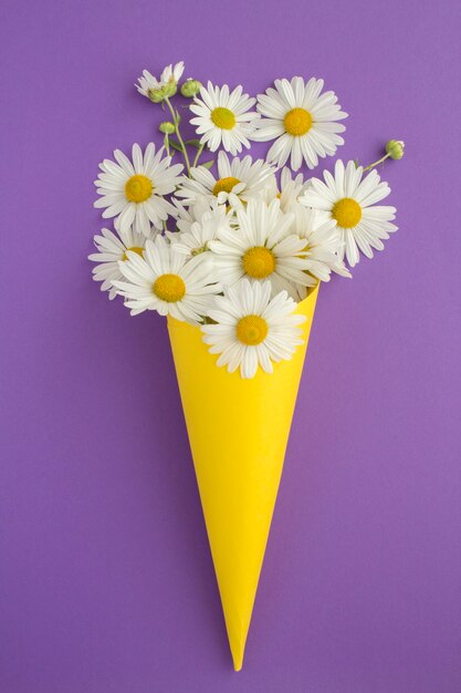 Witte chamomiles in een papieren gele kegel op de violette achtergrond