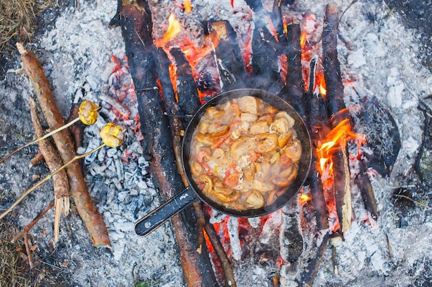 Witte champignons met tomaten koken in een pan op een vuur in het voorjaarsbos