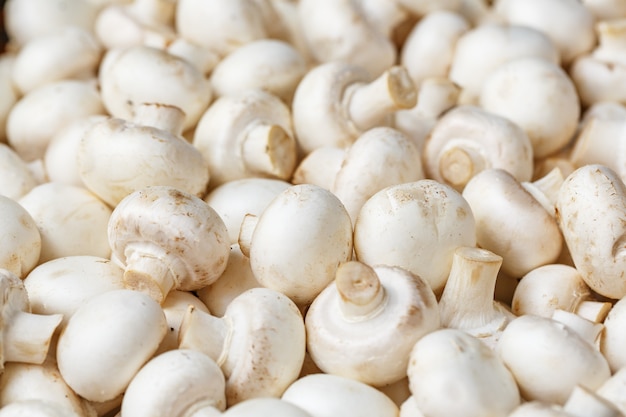 Witte champignons