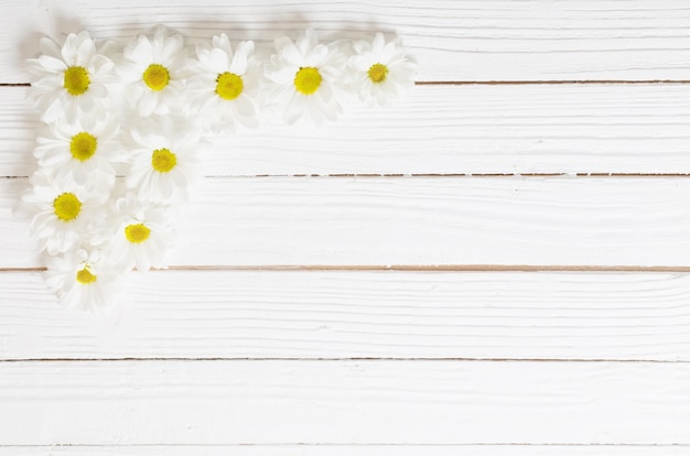 Witte chrysant op witte houten achtergrond