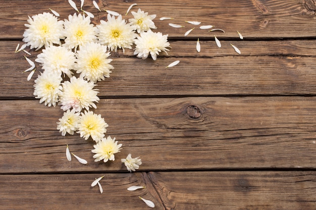 Witte chrysanten op oud hout