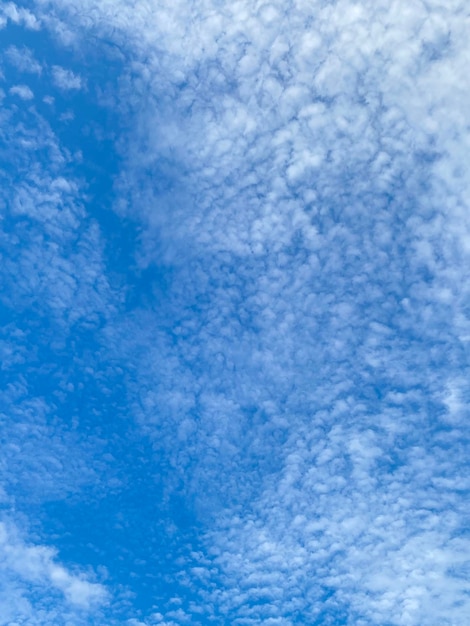 Witte cloudscape op blauwe hemelachtergrond Witte cloudscape op blauwe hemelachtergrond