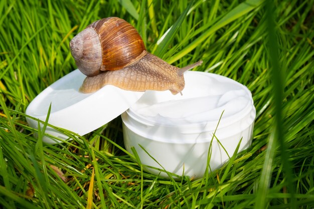 Witte crème met slakkenmucine op het groene gras in de tuin