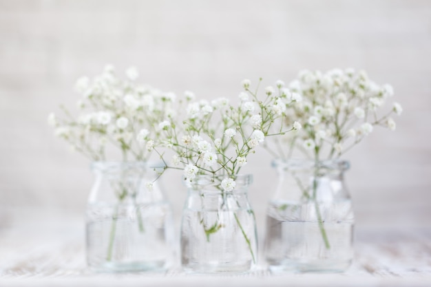 Witte delicate van baby's adem bloemen gypsophila in glazen vazen op lichte achtergrond. Bloemensamenstelling in huisbinnenland. Zachte focus