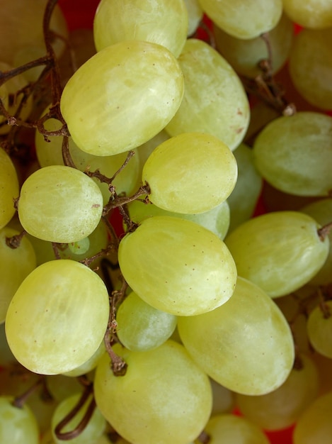 Witte druiven fruit eten
