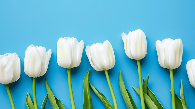 witte en roze bloemen achtergrond