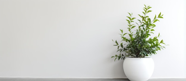 Foto witte en zwarte muur met binnenplant