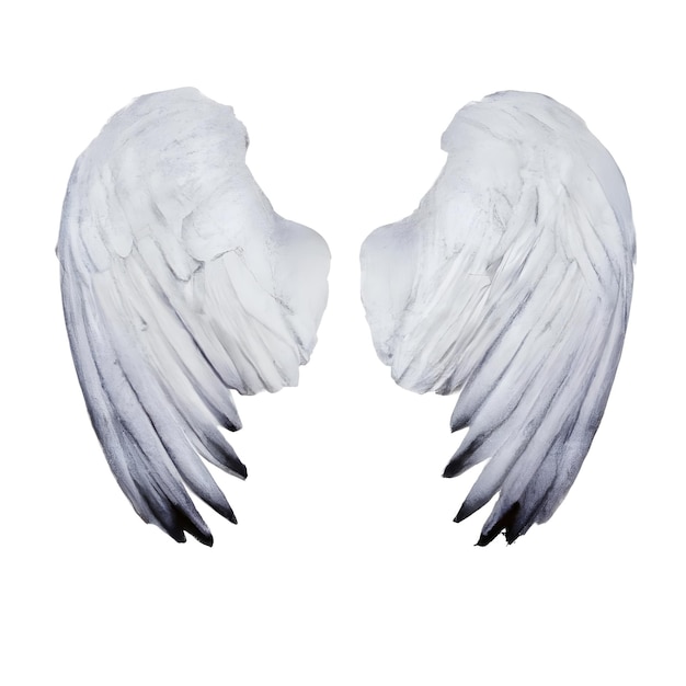 Witte engelenvleugels geïsoleerd op witte achtergrond Generatieve AI