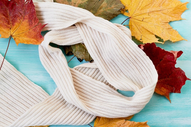 Witte gebreide wollen sjaal op turkooizen achtergrond in de herfstbladerenDe sfeer van warmte en comfort