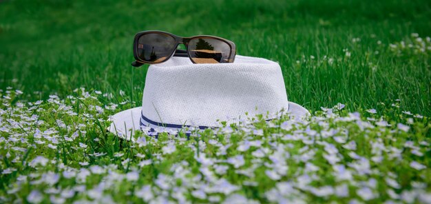 Witte hoed en zonnebril op groen gras op zonnige zomerdag