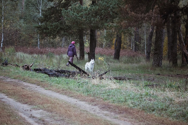 Witte Hond in de herfst in het bos.