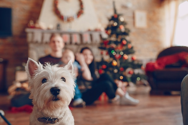 Foto witte hond met een gezin van ongericht achtergrond