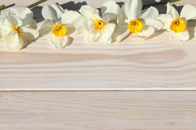 witte houten achtergrond met witte narcissen bloemen