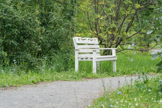 Witte houten bank in het park bij het pad