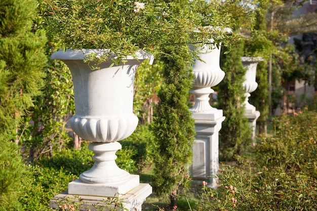 Witte Jardiniere