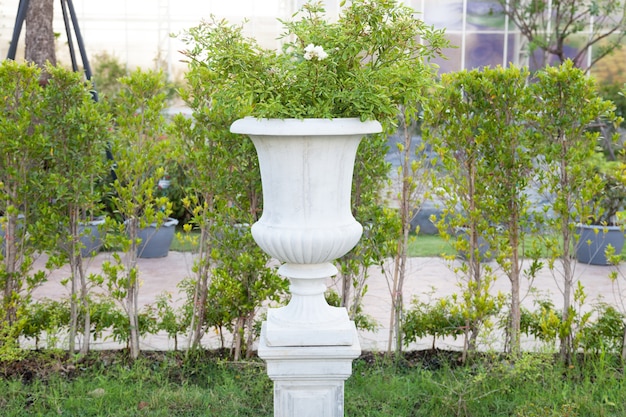 Witte Jardiniere