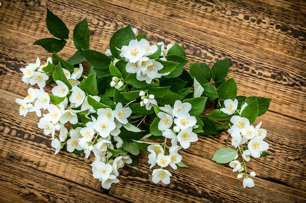 Witte jasmijn bloemen op de houten achtergrond