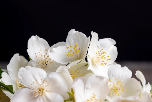 Witte jasmijnbloemen gebruikt om de binnenmuur te versieren