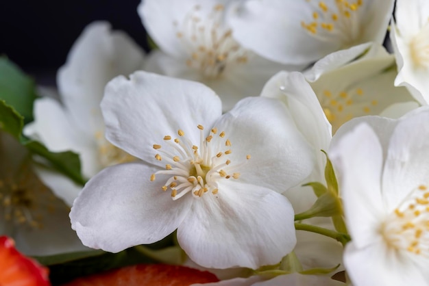 Witte jasmijnbloemen gebruikt om de binnenmuur te versieren