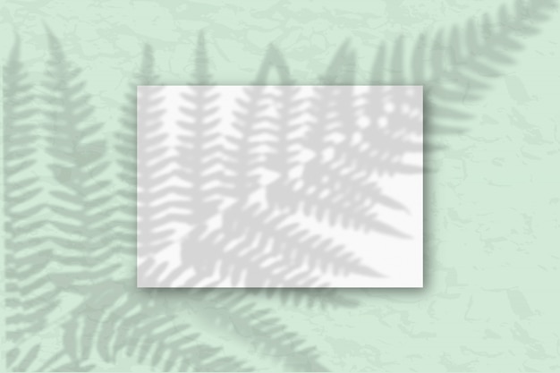 Foto witte kaart met takschaduw