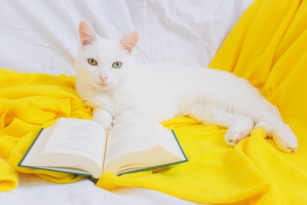 Witte kat met groene ogen op een sofa met een gele plaid en een boek.