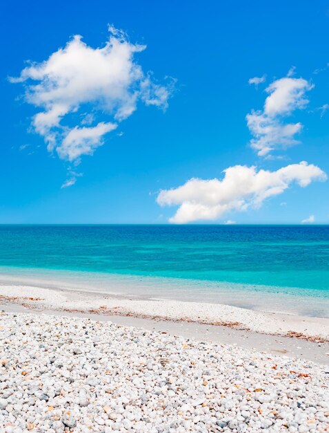 Witte kiezelstenen aan zee op een bewolkte dag