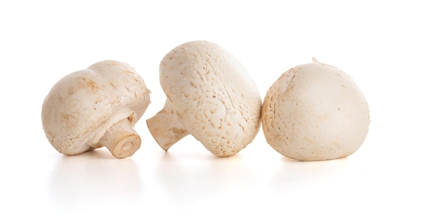 Witte knoppaddestoel Agaricus Bisporus op witte achtergrond