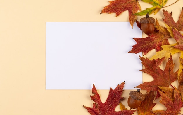 Witte lege kaart op de herfstachtergrond met gevallen bladeren. Kleurrijke gevallen herfstbladeren op beige achtergrond met kopieerruimte