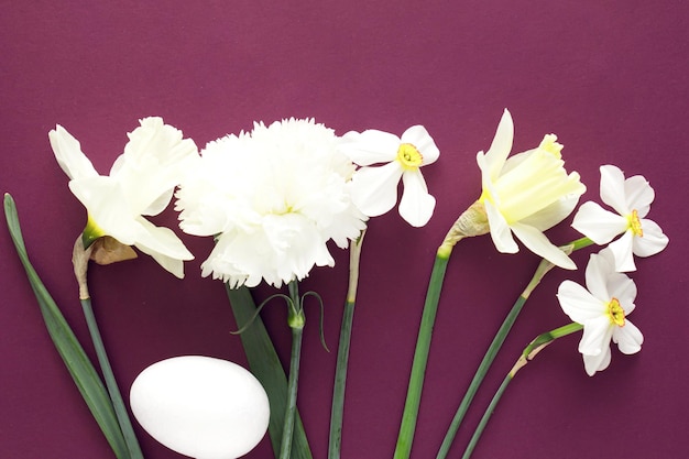 Foto witte lentebloemen met paasei op paarse achtergrond