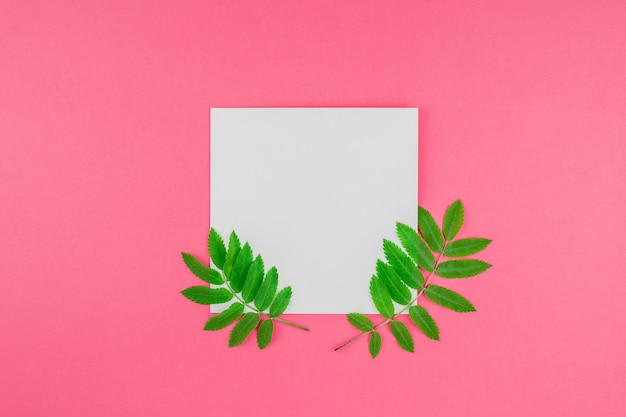 Witte letter mock up met verse groene bladeren