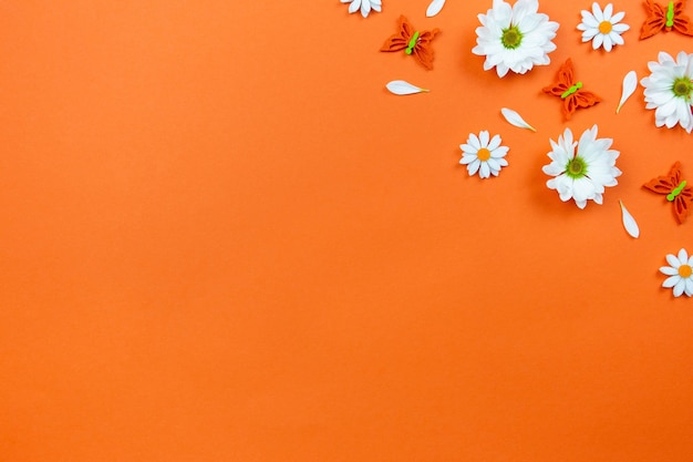 Witte margriet bloemen en vlinders op kleurrijke oranje ondergrond