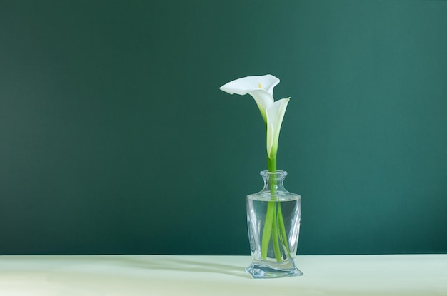 Witte mooie bloemen in glazen vaas op groene achtergrond