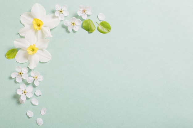 Witte narcissen en kersenbloemen op Groenboekoppervlak