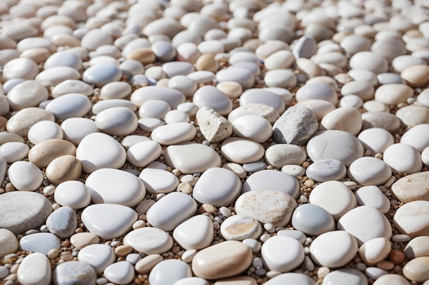 Witte natuurlijke kiezelstenen textuur op de grond