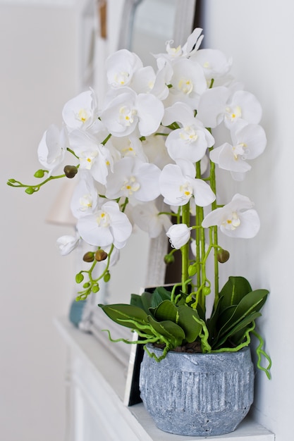 Witte Orchidee in een pot op de open haard.