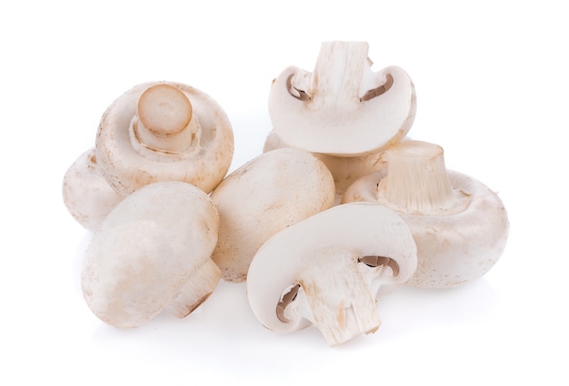 Witte paddestoel champignon geïsoleerd op een witte ondergrond