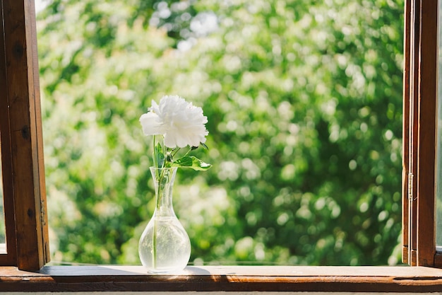 Witte pioenrozen op een houten raam Romantisch concept Vintage stijl