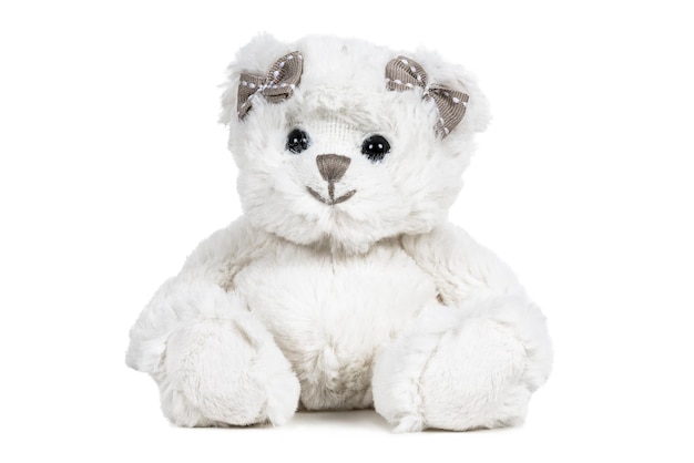 Witte pluizige teddybeer