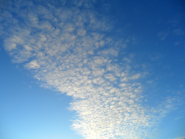 Witte Pluizige Wolk die op Levendige Blauwe Hemel, Achtergrond drijft