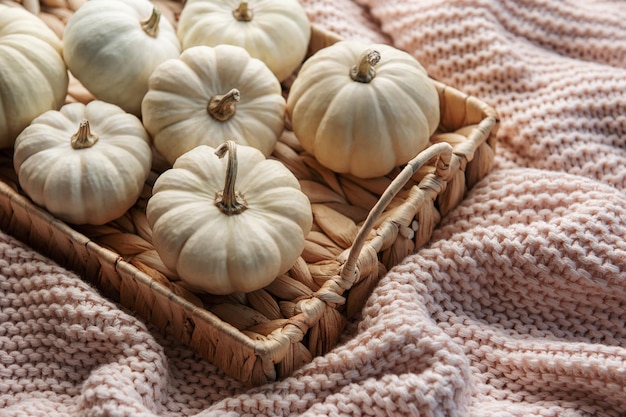 Witte pompoenen en herfstbladeren op een rieten dienblad