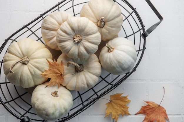 Witte pompoenen en herfstbladeren