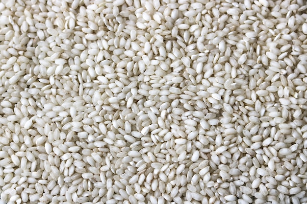 Foto witte rijstachtergrond, graangewassen, macroclose-up