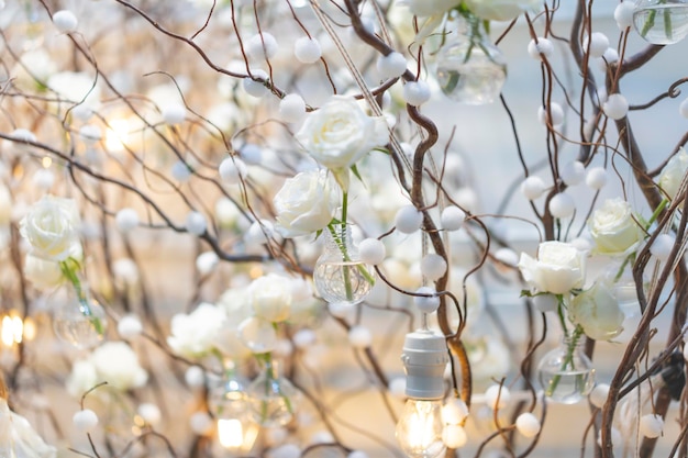 Witte roos achtergrond en achtergrond in de decoratie gezellige tak en warm licht