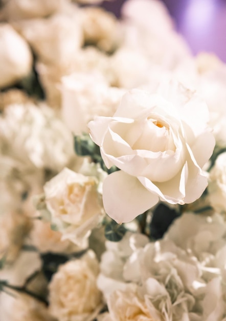 Witte roos boeket veel bloemen volledige achtergrond