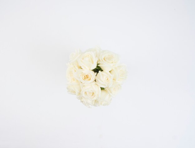 Witte rozen bloemen